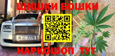 МДПВ Камышлов