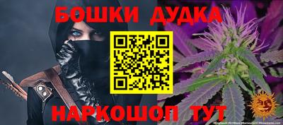 МДПВ Камышлов