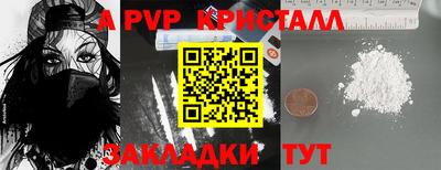стаф Кинель