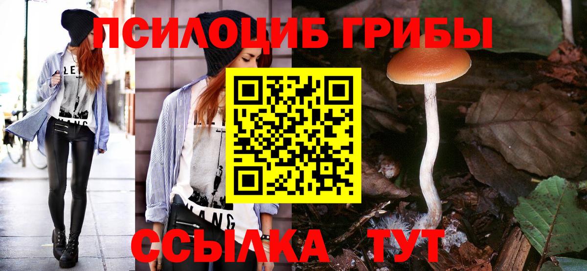 Галлюциногенные грибы GOLDEN TEACHER Куйбышев