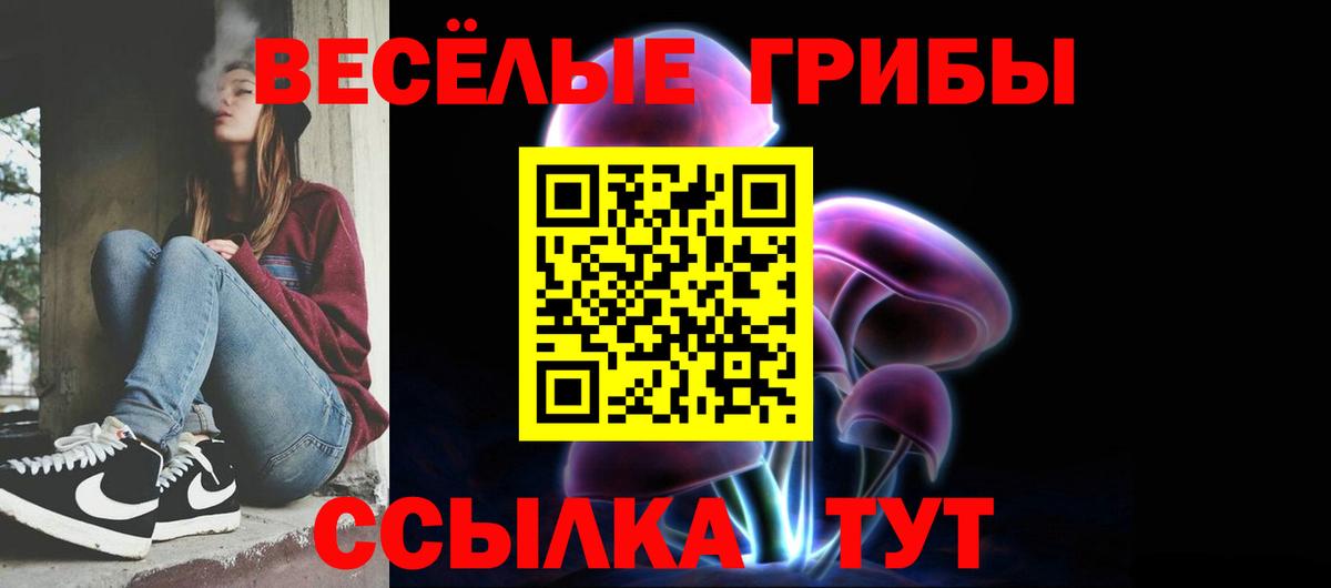 Куйбышев  Псилоцибиновые грибы ЛСД  Вход с VPN 